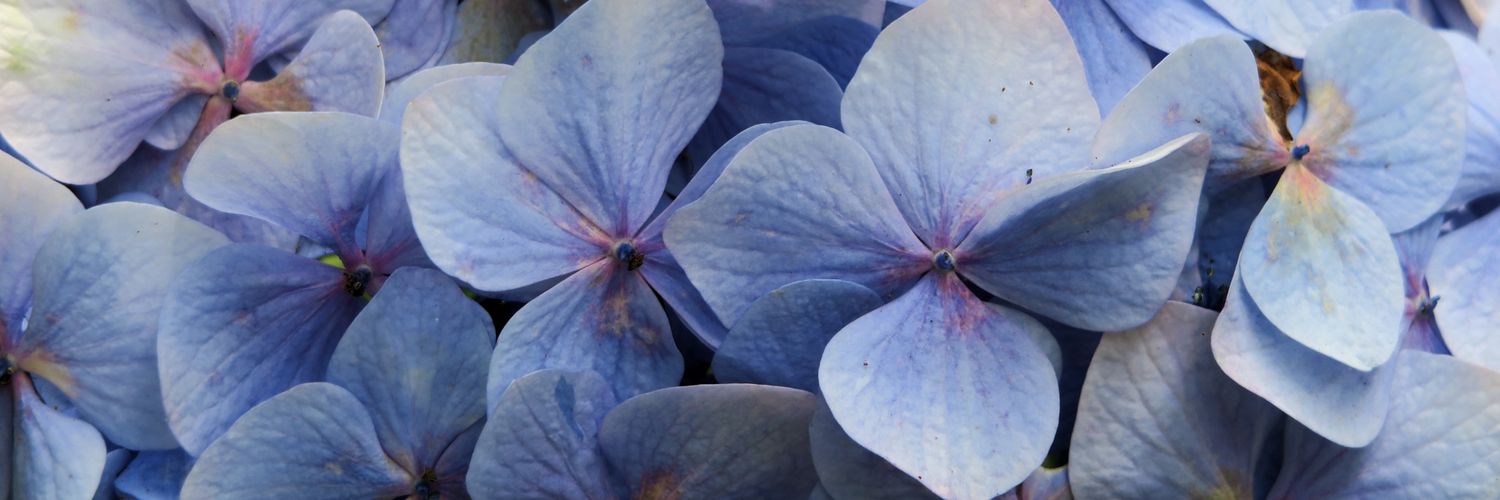 VisitorQ's profile banner image