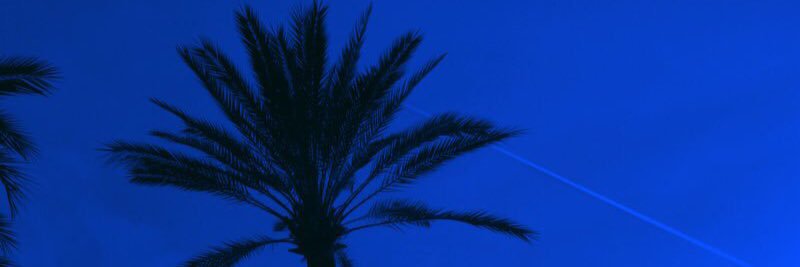 P I N E A P P L E banner