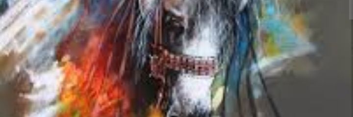 Alwinrsc's profile banner image