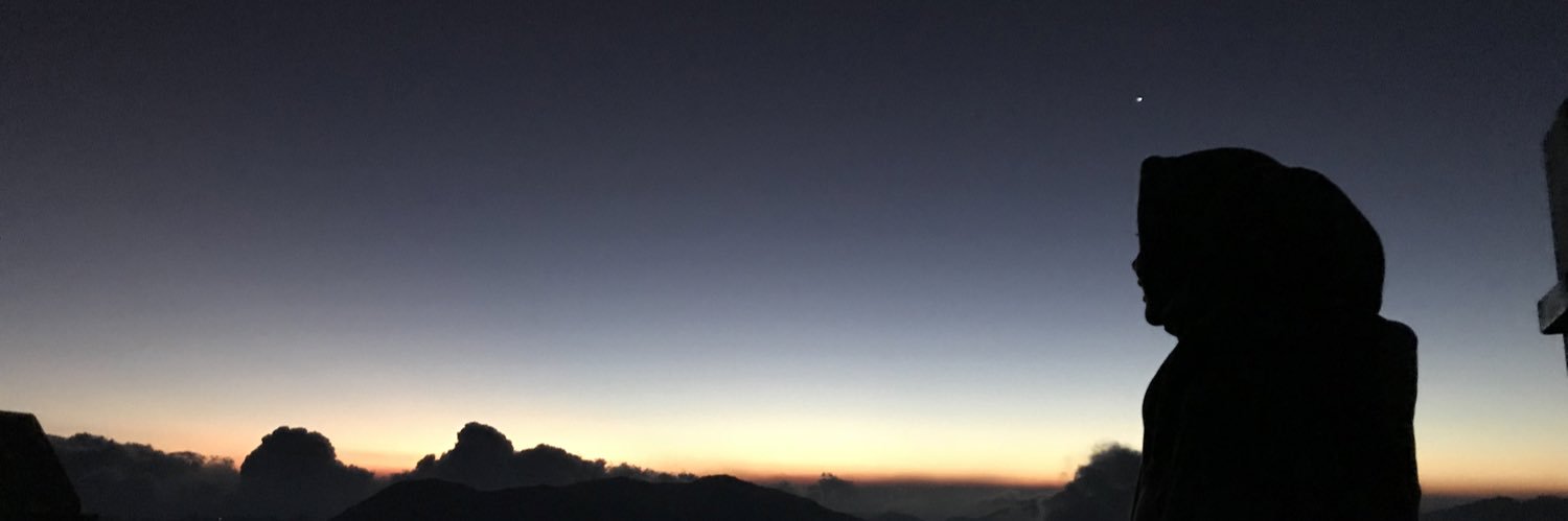 venthy bintang banner