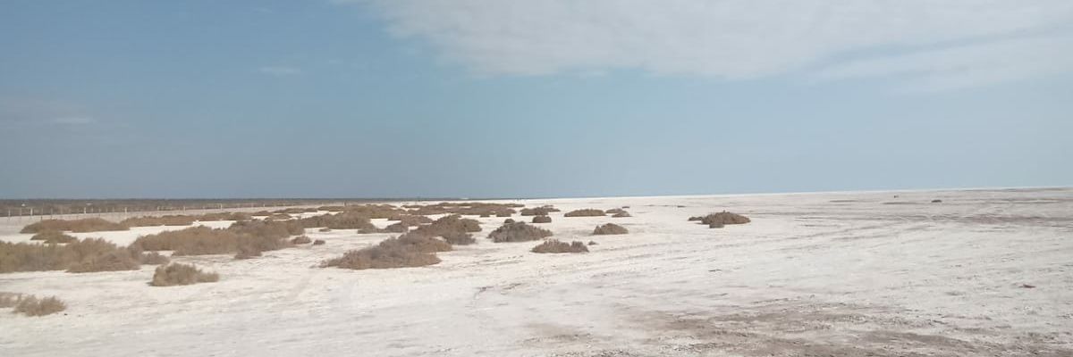 DamiBLopez's profile banner image