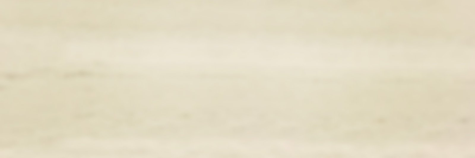 bitlordapp's profile banner image