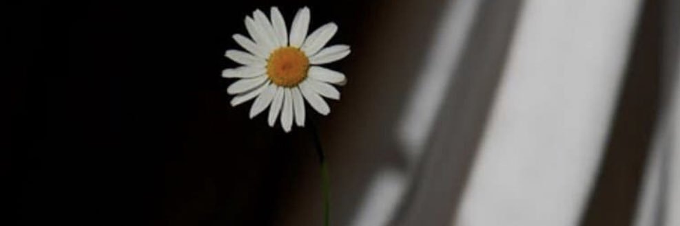 GemiChhangte's profile banner image
