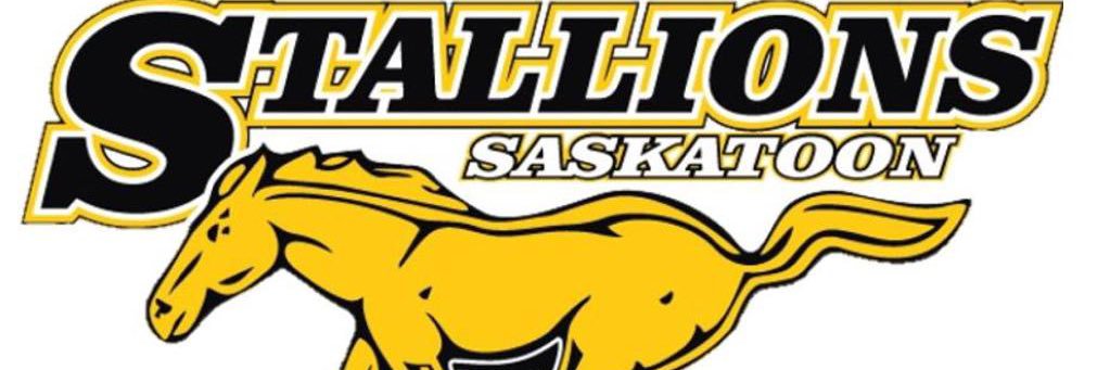 Saskatoon Stallions banner