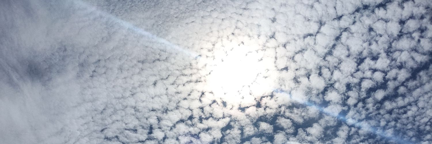davidriverjr's profile banner image