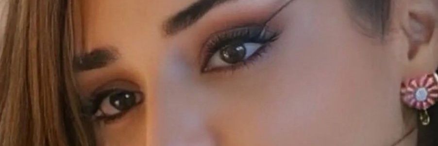 handemi banner