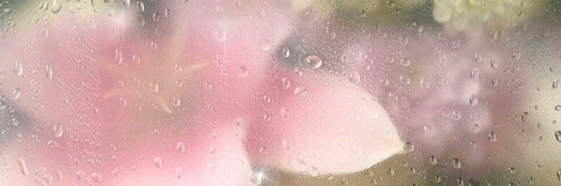 thiissmydiary's profile banner image