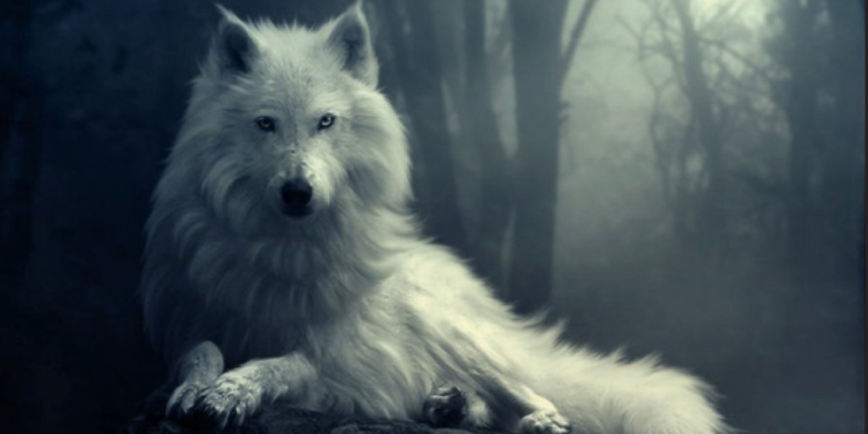 __shubby's profile banner image