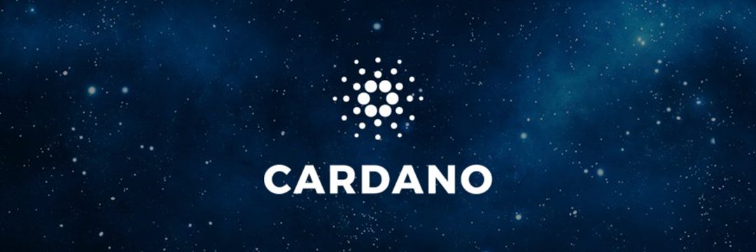 feedcardano's profile banner image