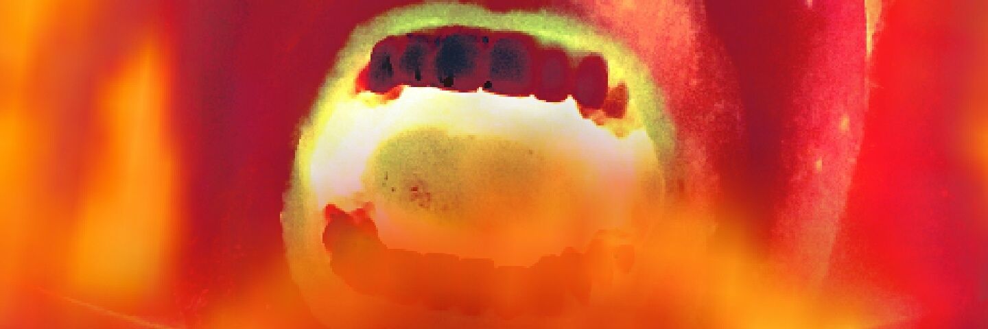 cassidyconroy's profile banner image