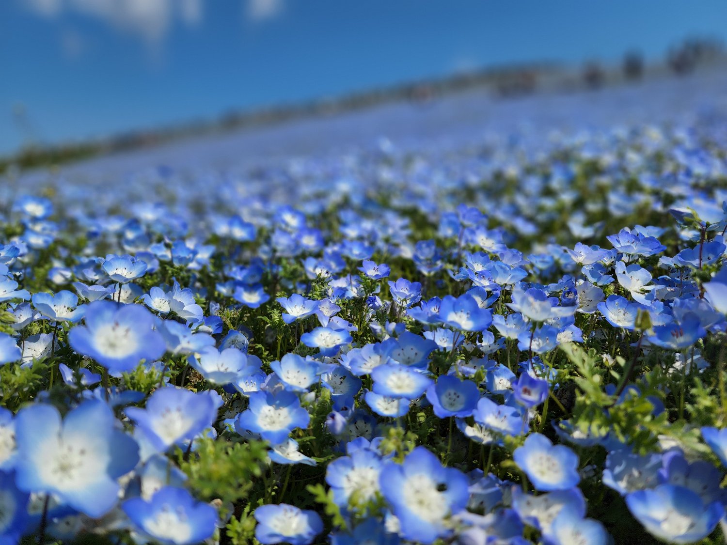 xyyukiix's profile banner image