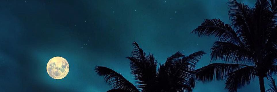 indayles's profile banner image