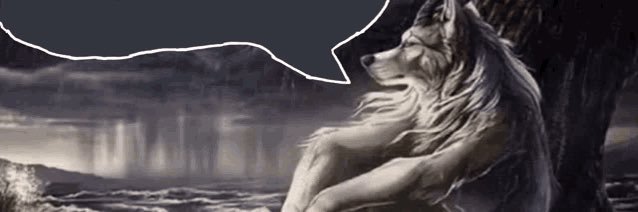 Evan's banner