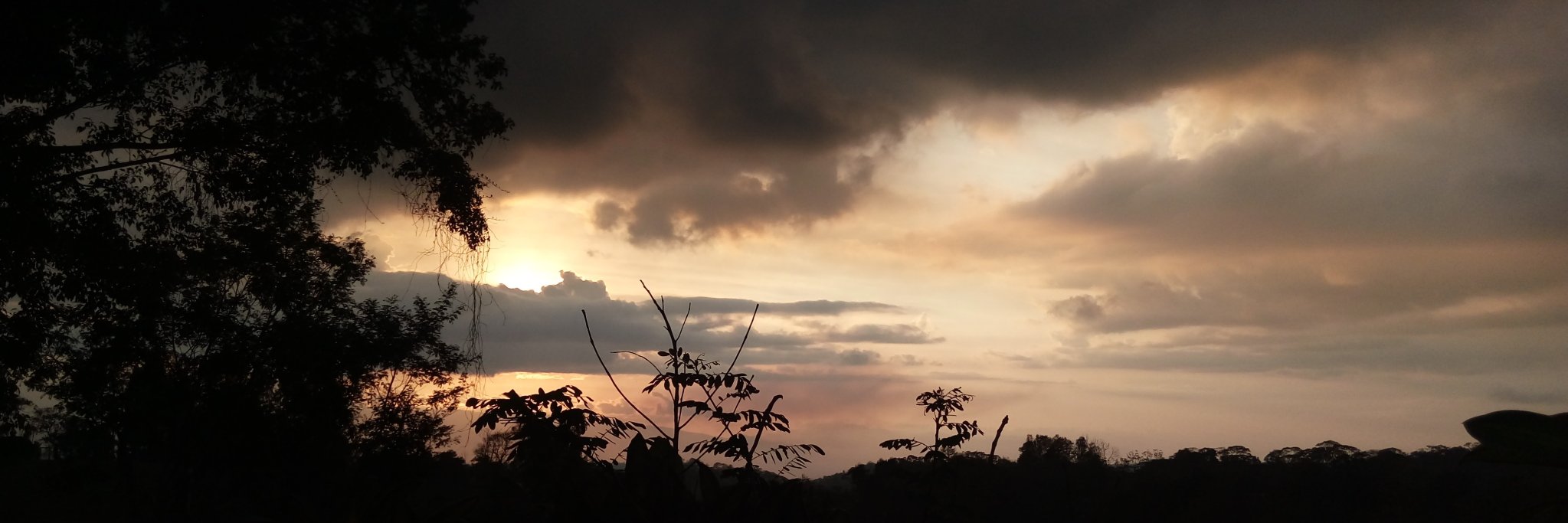OASD_1995's profile banner image
