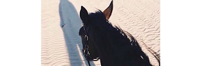 dr_fah7d's profile banner image