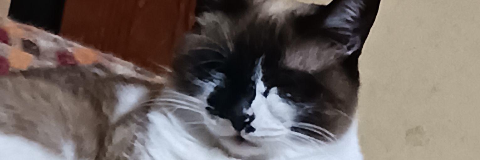 jiyo7489ng's profile banner image