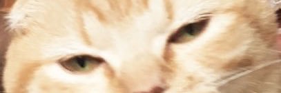 2525_ree's profile banner image