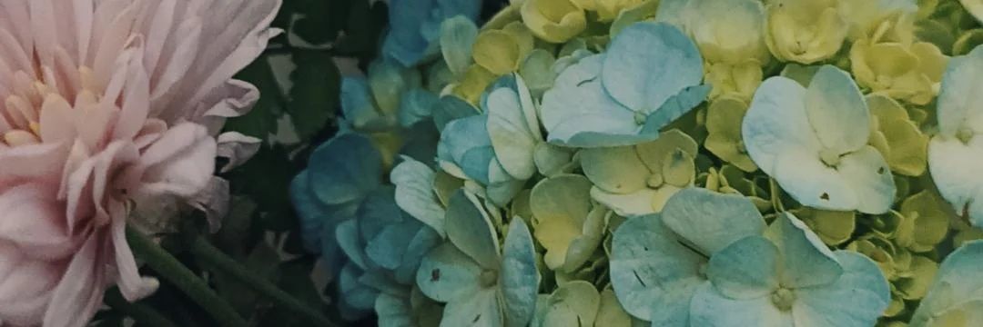 heyyrus's profile banner image