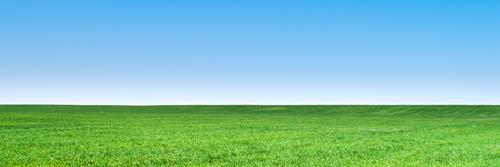 LandLandLand2's profile banner image