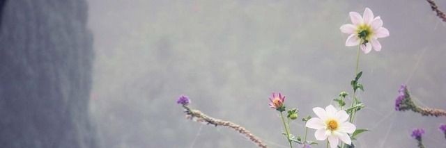 Ilikeangel's banner