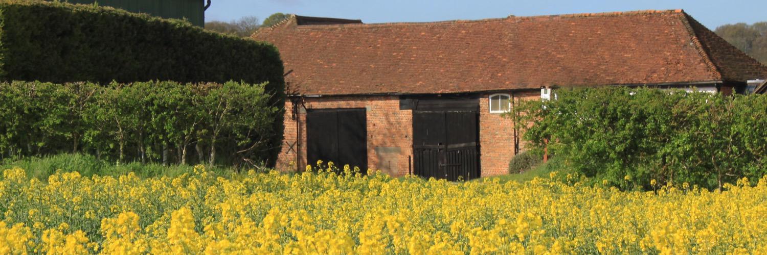 Cold Pressed Oil Co banner