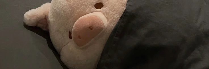 penibohh's profile banner image