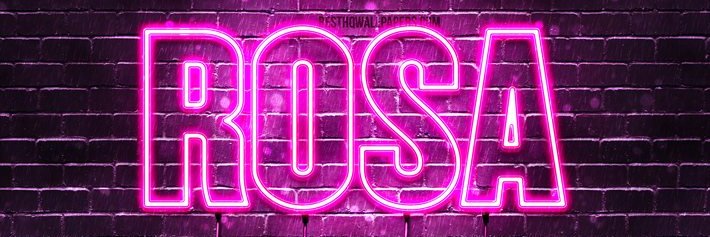 gfx_rosa's profile banner image