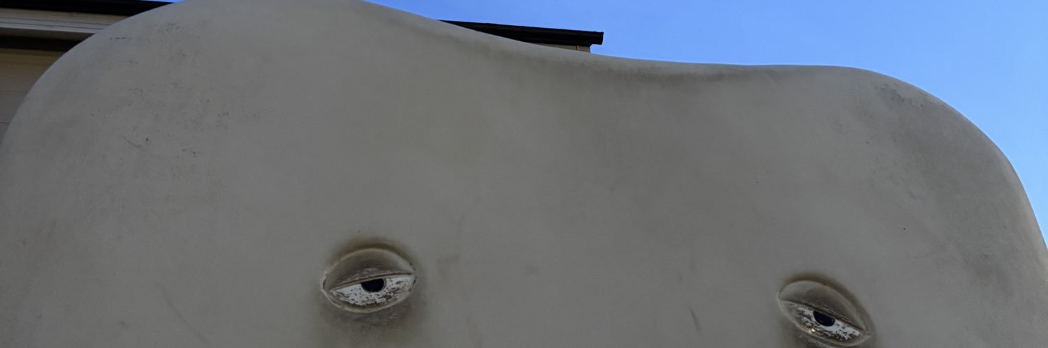 ymdysk14's profile banner image