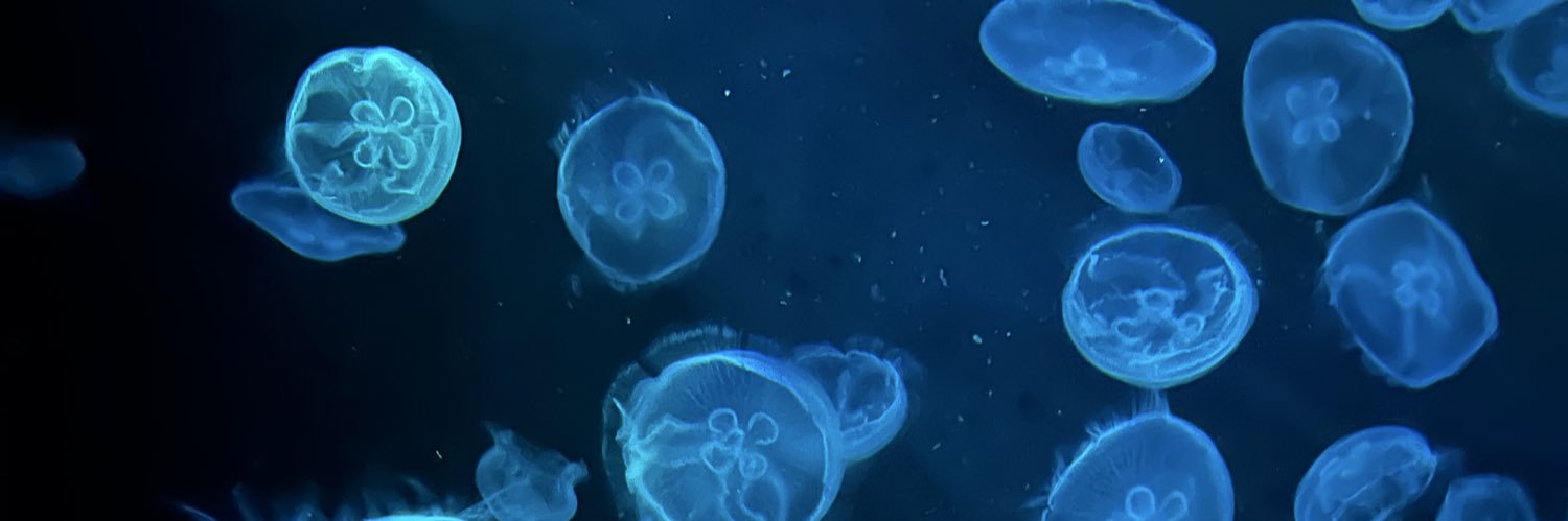 DAITENSAISA's profile banner image
