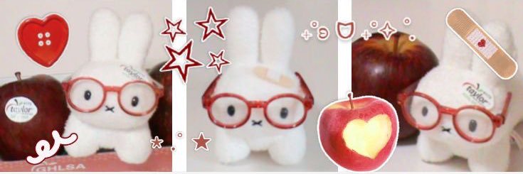 aster ⊹˚. ♡.𖥔 ݁ ˖ 🍏's banner