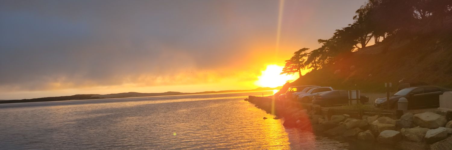 StevieRhett's profile banner image