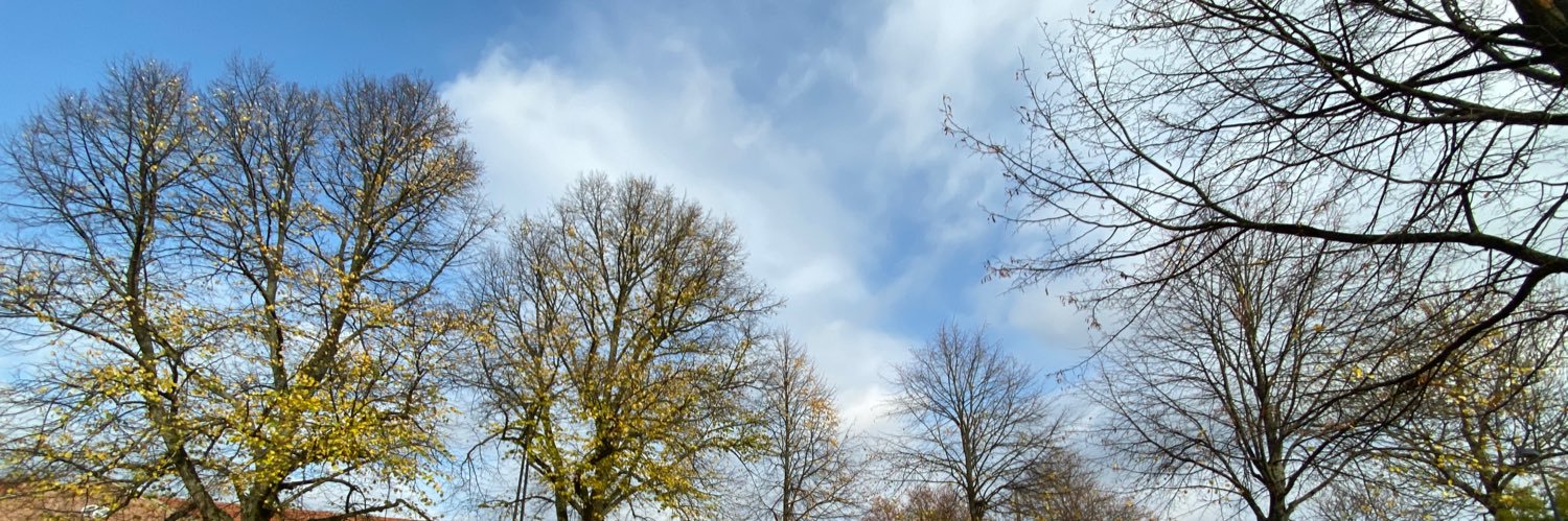 Raymondcyo's profile banner image