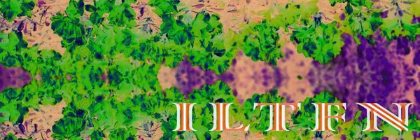 IlIlItTTtfFffFN Profile Banner