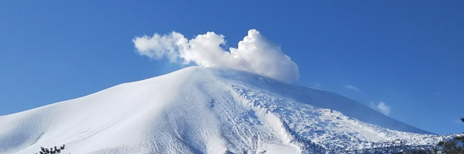 aoigumma's profile banner image