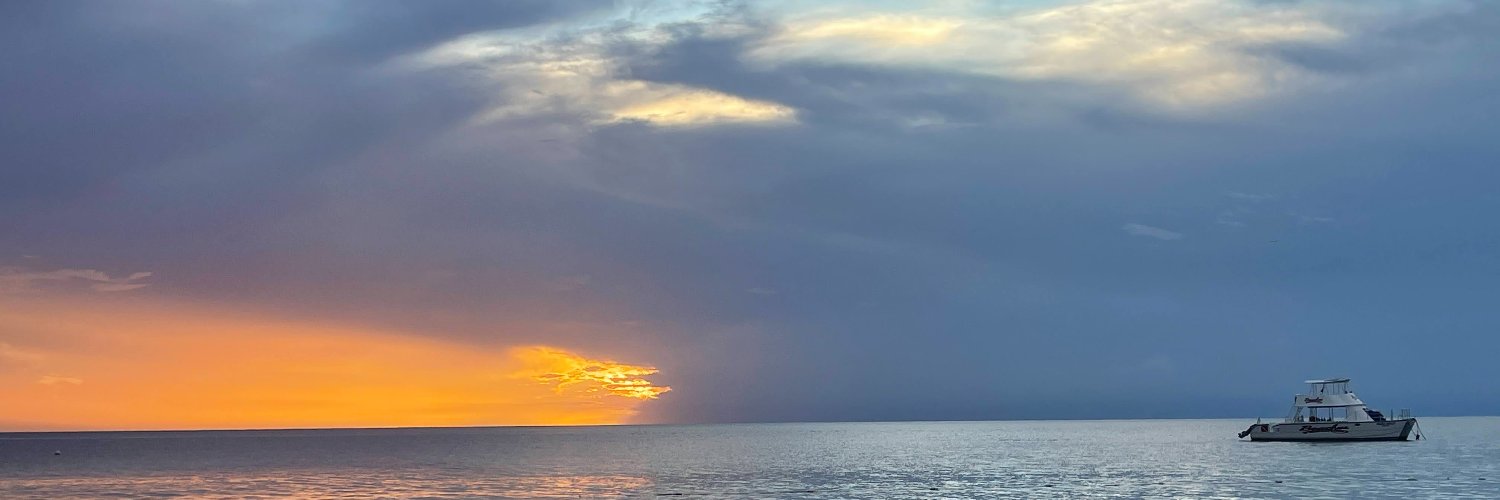 labdogs42's profile banner image