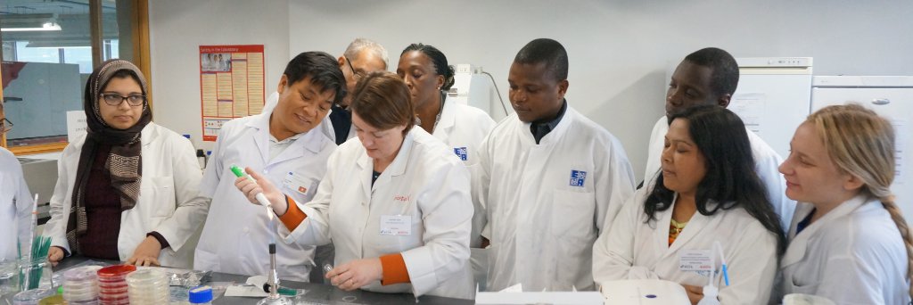 SESSOUPhilippe's profile banner image