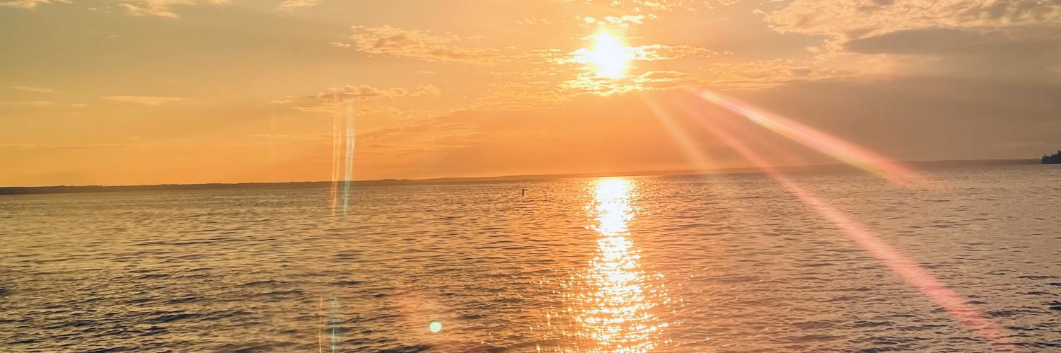 Trudopemustgo's profile banner image