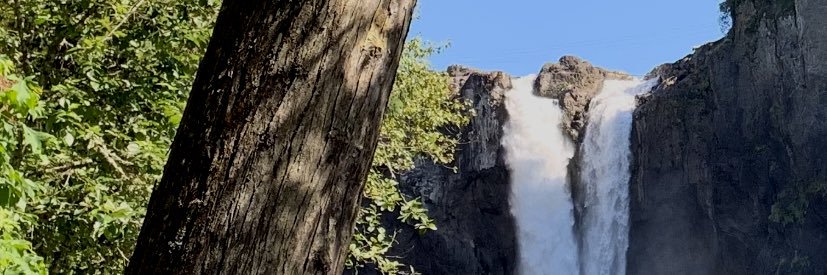 yo_nasa's profile banner image