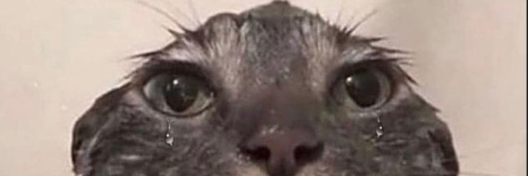 Fl4shreborn2's profile banner image