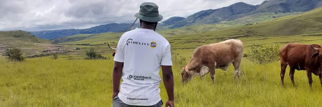 ayandaayzo02 banner