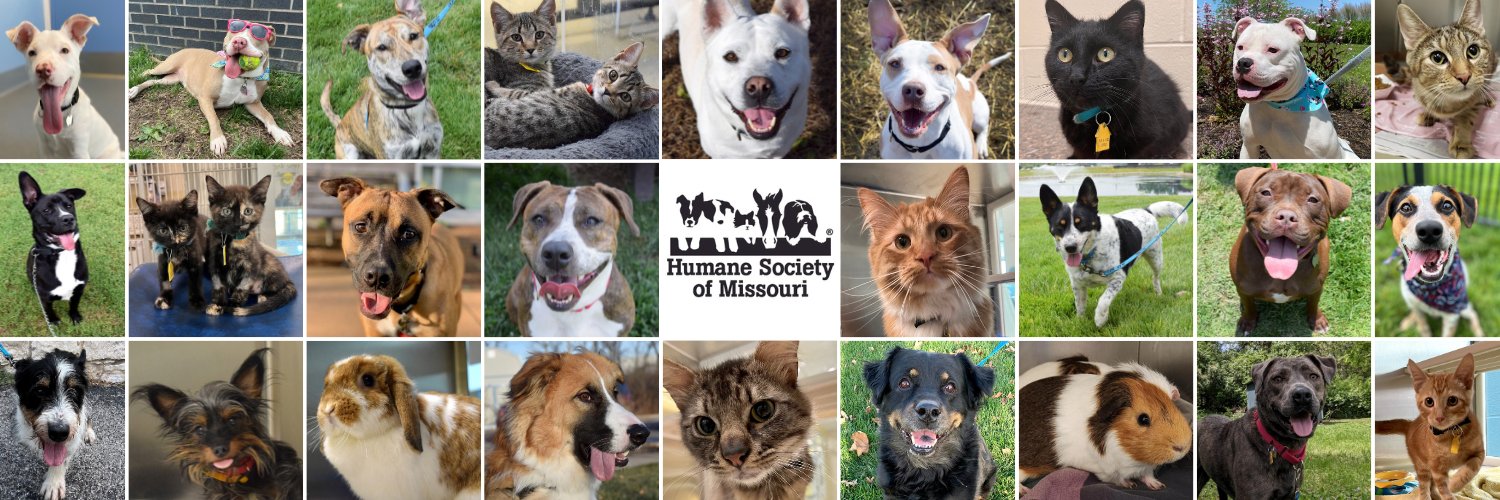 Humane Society of Missouri banner
