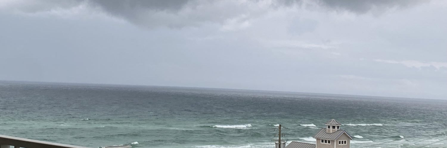 MedusaCrow31's profile banner image