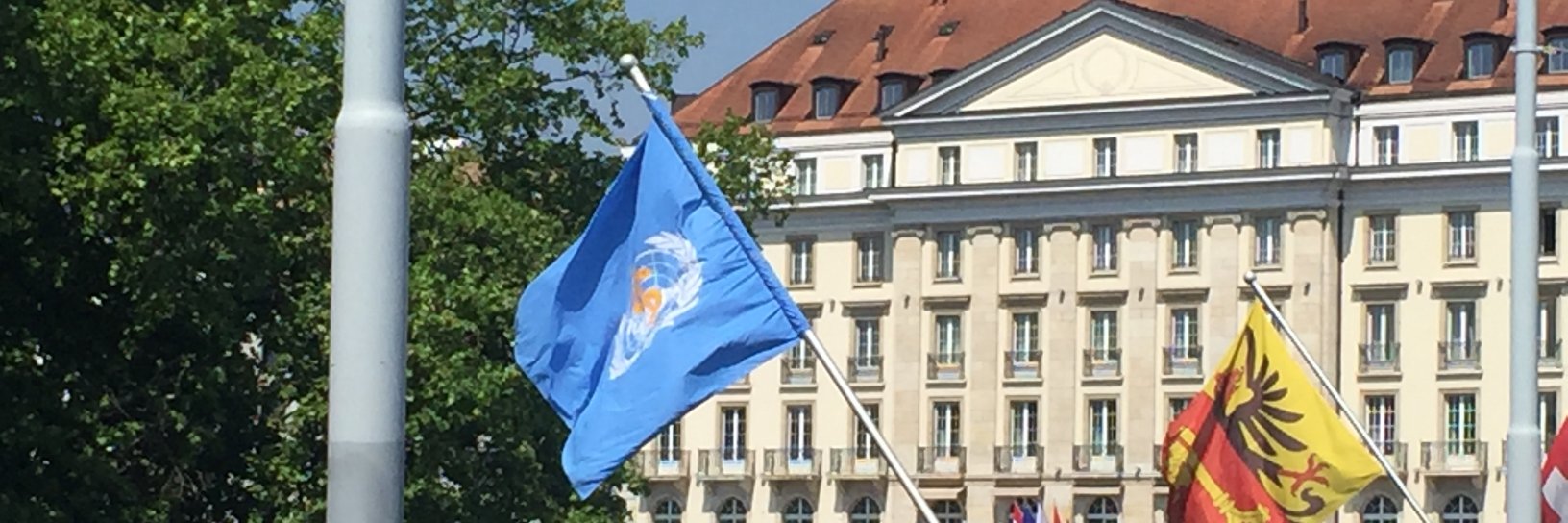 Denis Porignon banner