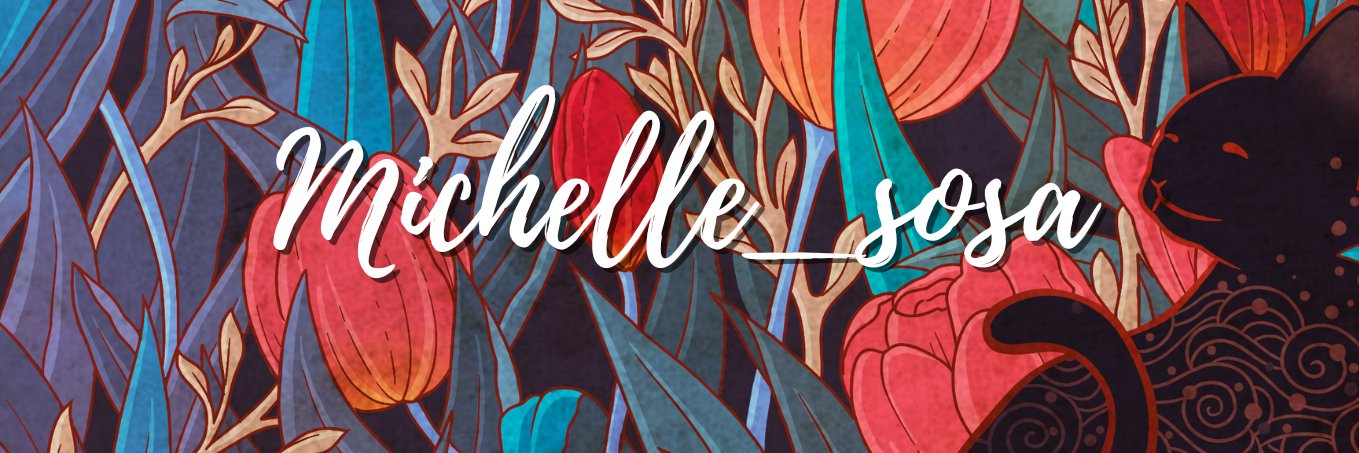 Michelle Sosa banner