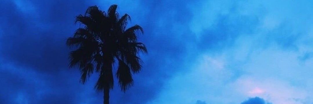 𝐪𝐚𝐧𝐭𝐡𝐞𝐫 🐾's banner