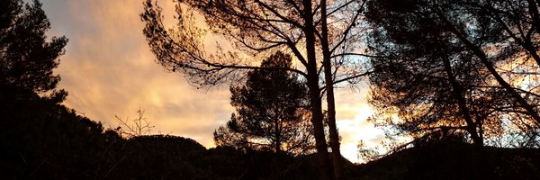 mfermonescillo Profile Banner