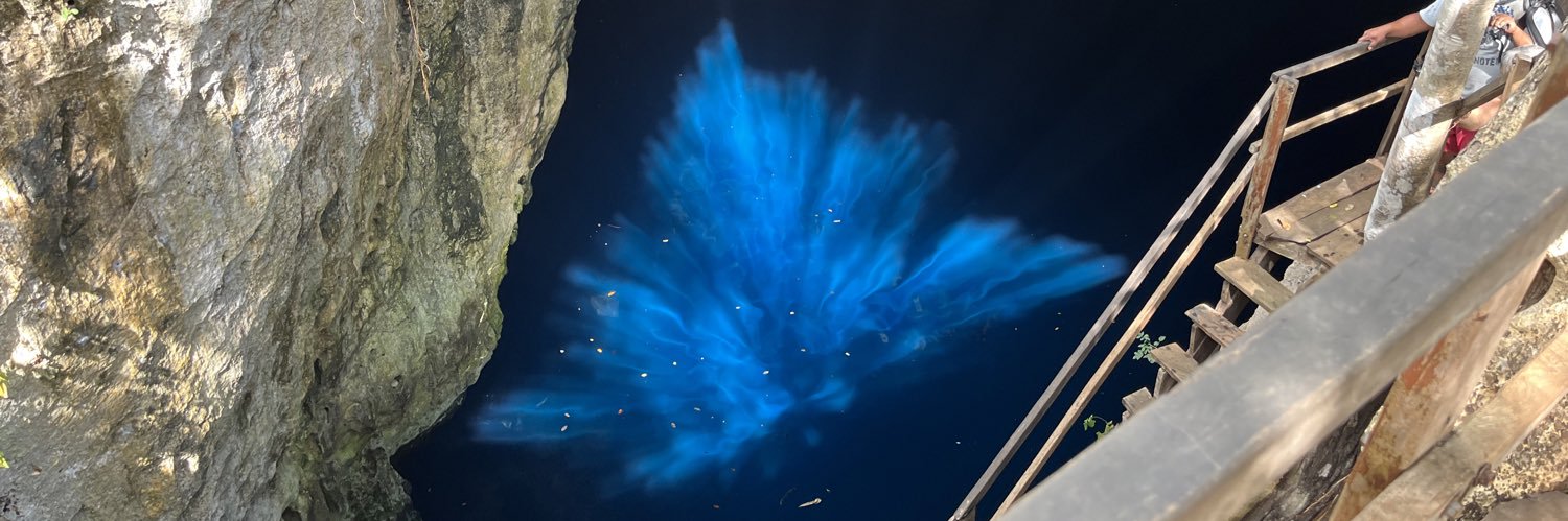 Daniela M. Zolezzi banner