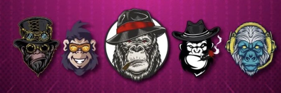Sir monkey banner