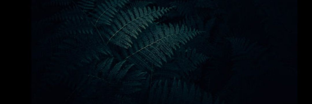 Mr_Danron's profile banner image