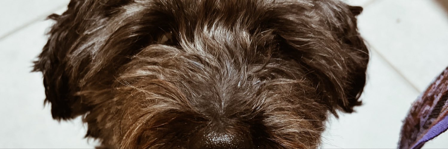 agussalons0's profile banner image
